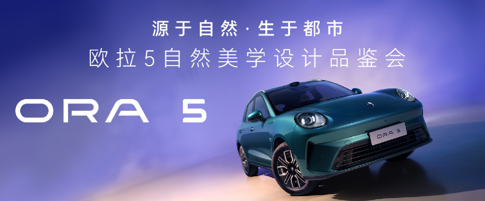 二十九号店-哈弗新能源、欧拉