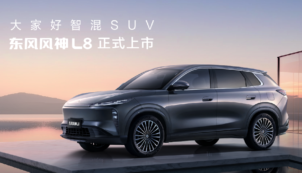 三十号店-东风风神